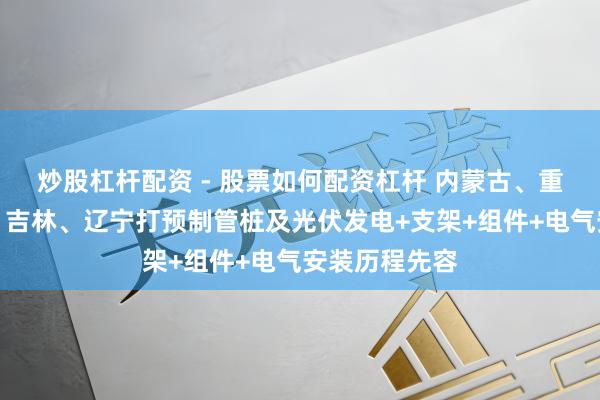 炒股杠杆配资 - 股票如何配资杠杆 内蒙古、重庆、黑龙江、吉林、辽宁打预制管桩及光伏发电+支架+组件+电气安装历程先容