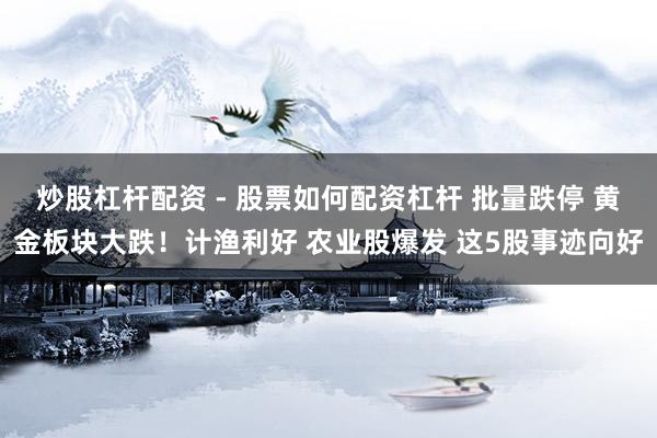 炒股杠杆配资 - 股票如何配资杠杆 批量跌停 黄金板块大跌！计渔利好 农业股爆发 这5股事迹向好